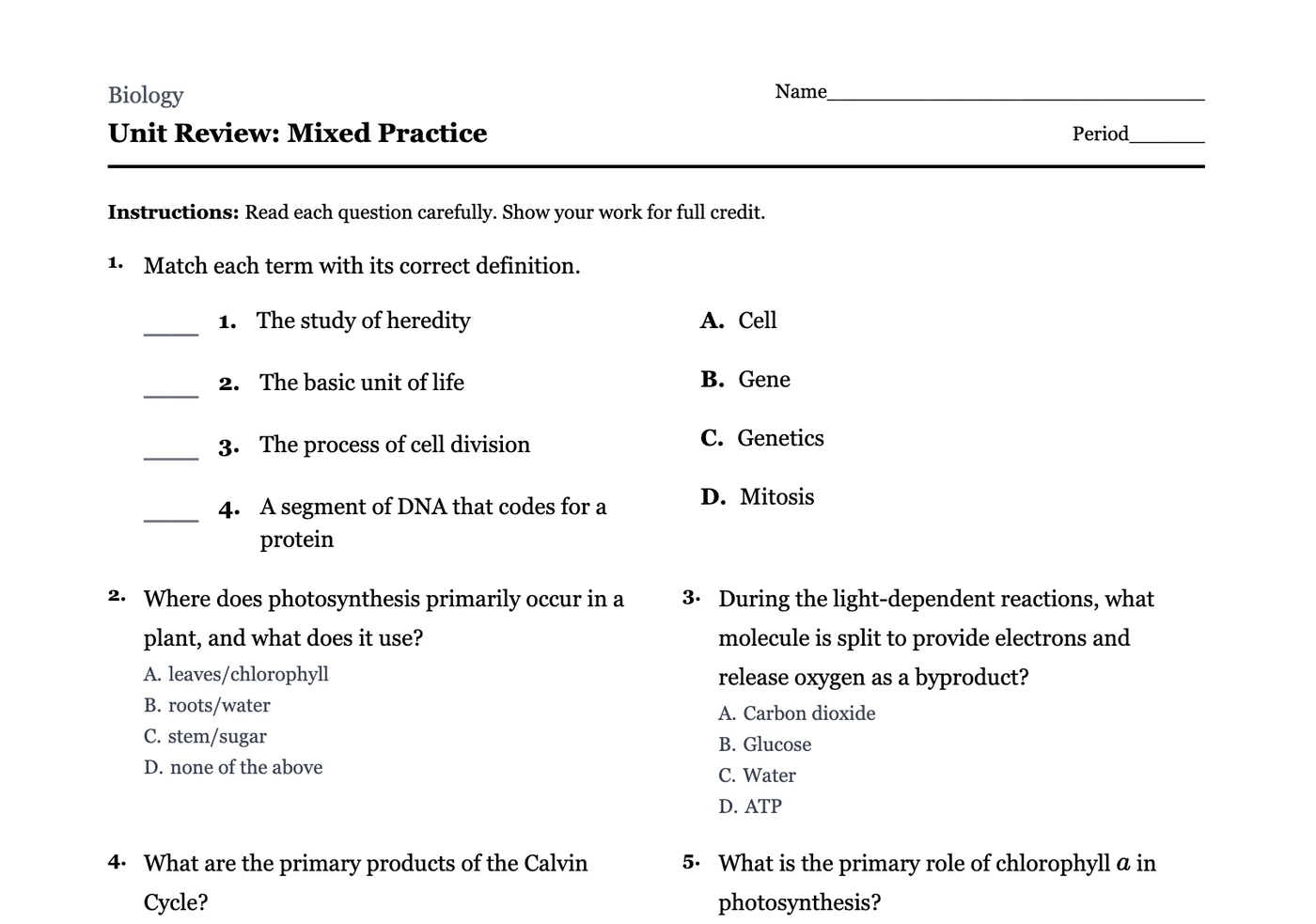 The same photosynthesis question rendered on a print-ready assignment page